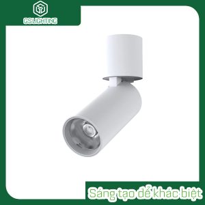 Đèn downlight ốp nổi xoay chỉnh hướng / GSOBR